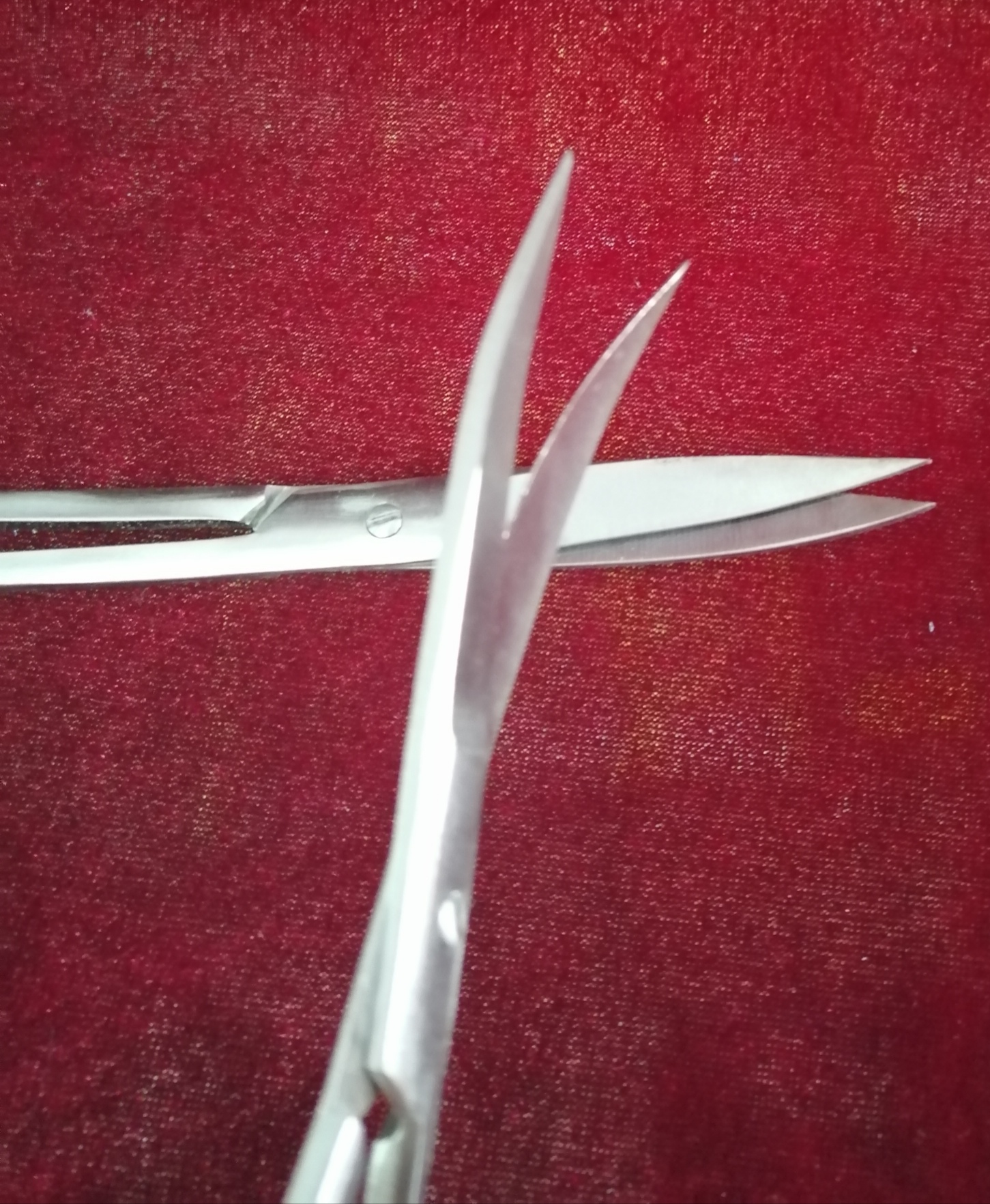 ���z����